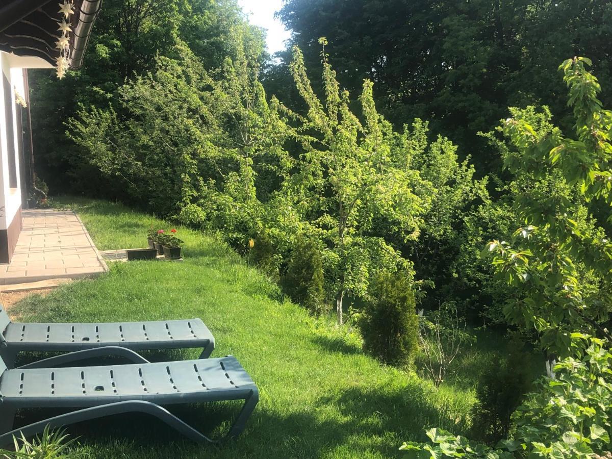 Cabana Dintre Fagi Poiana Mărului Exterior foto
