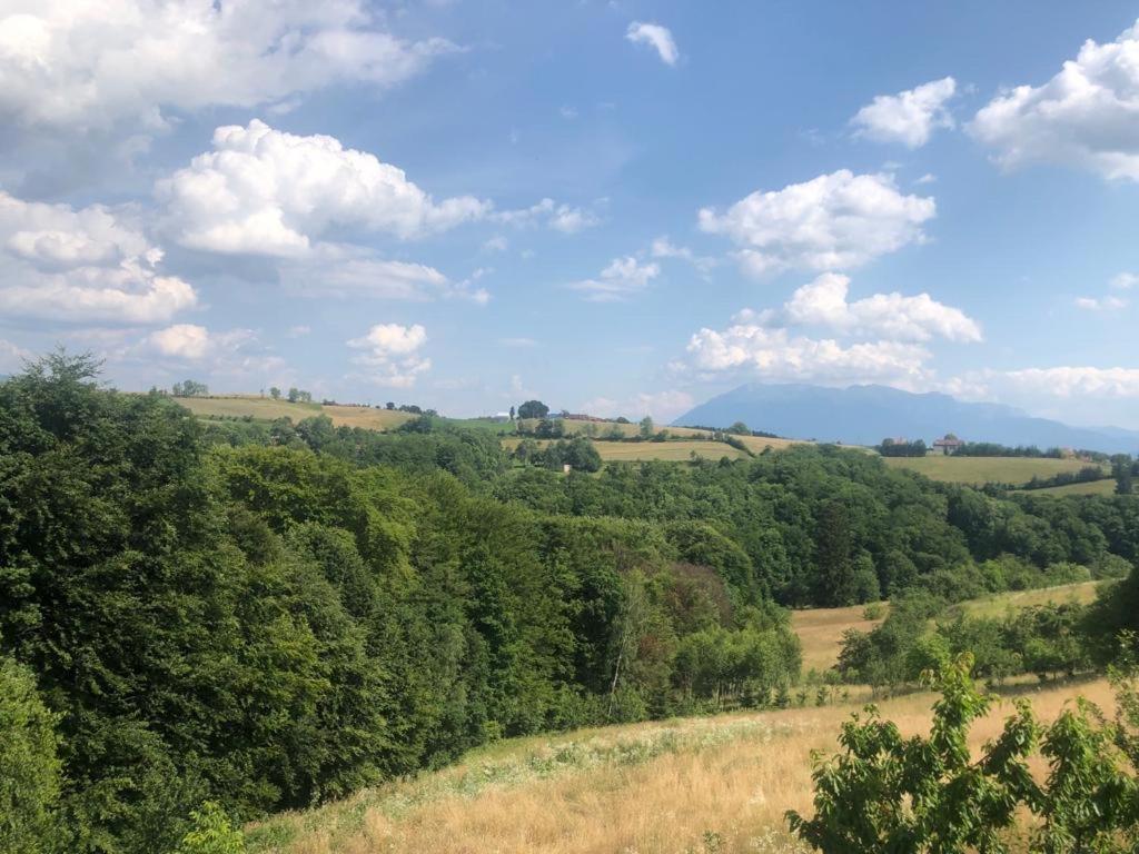 Cabana Dintre Fagi Poiana Mărului Exterior foto