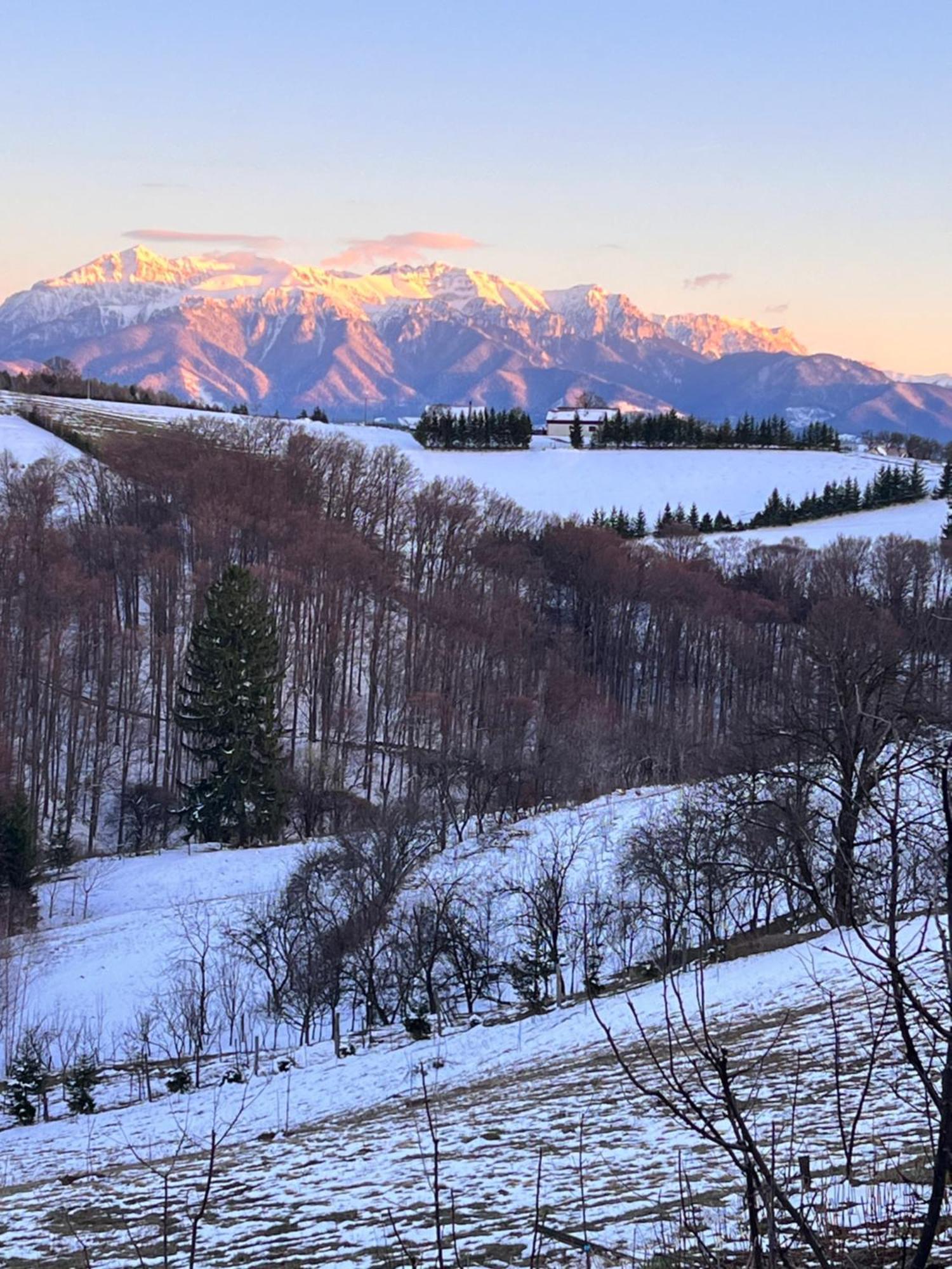 Cabana Dintre Fagi Poiana Mărului Exterior foto